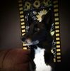 rustykat12